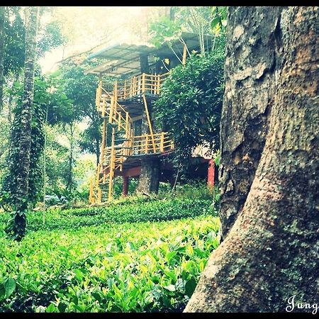 Bed and Breakfast Jungle Jive Tree House Munnar Exterior foto