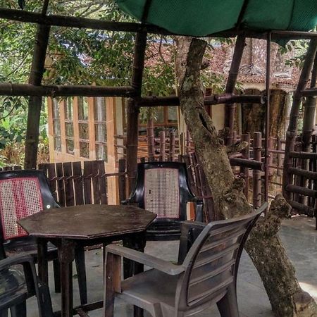 Bed and Breakfast Jungle Jive Tree House Munnar Exterior foto