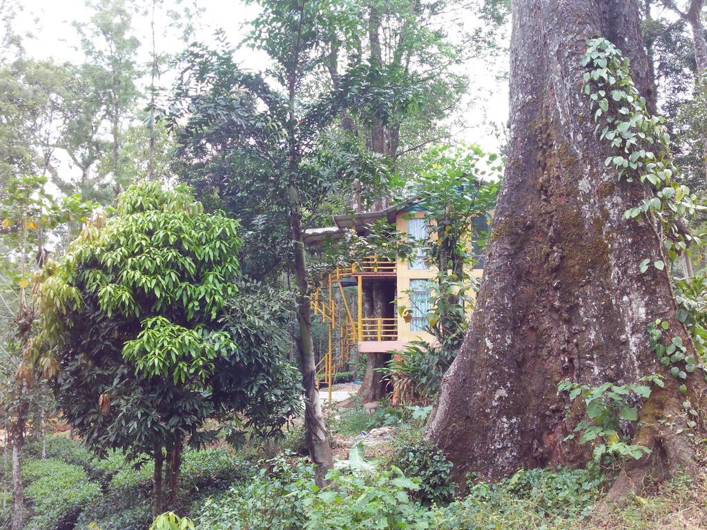 Bed and Breakfast Jungle Jive Tree House Munnar Zimmer foto