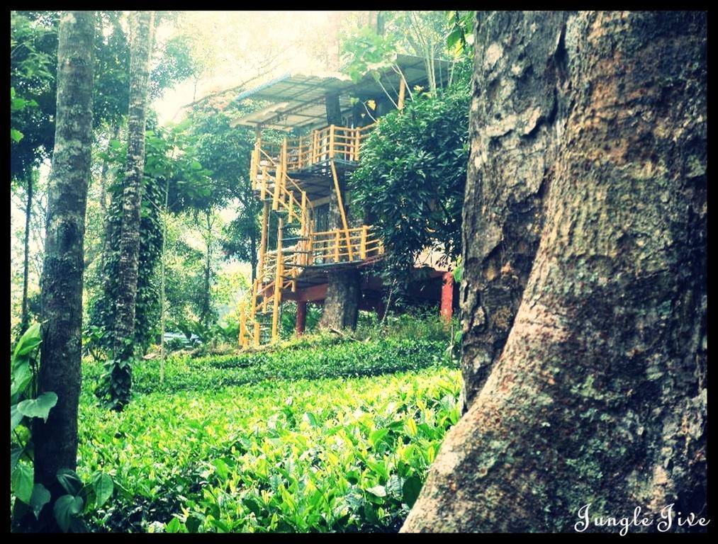 Bed and Breakfast Jungle Jive Tree House Munnar Exterior foto
