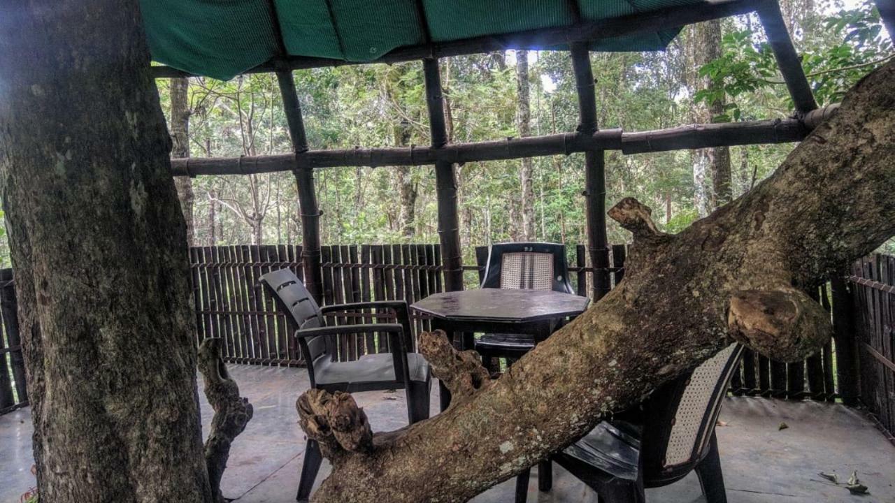 Bed and Breakfast Jungle Jive Tree House Munnar Exterior foto