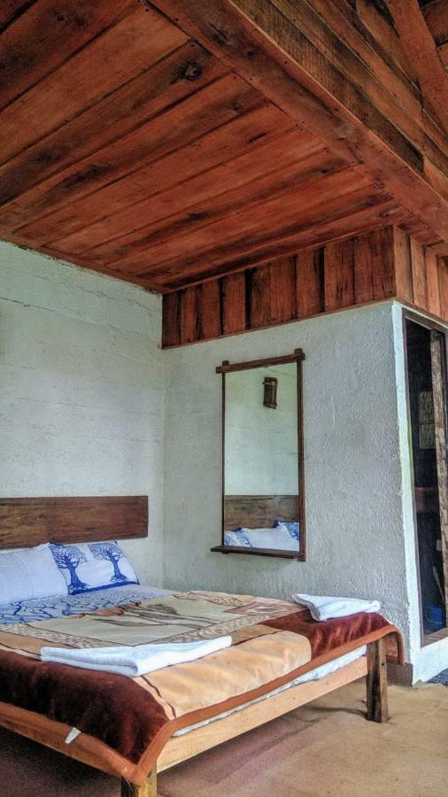 Bed and Breakfast Jungle Jive Tree House Munnar Exterior foto
